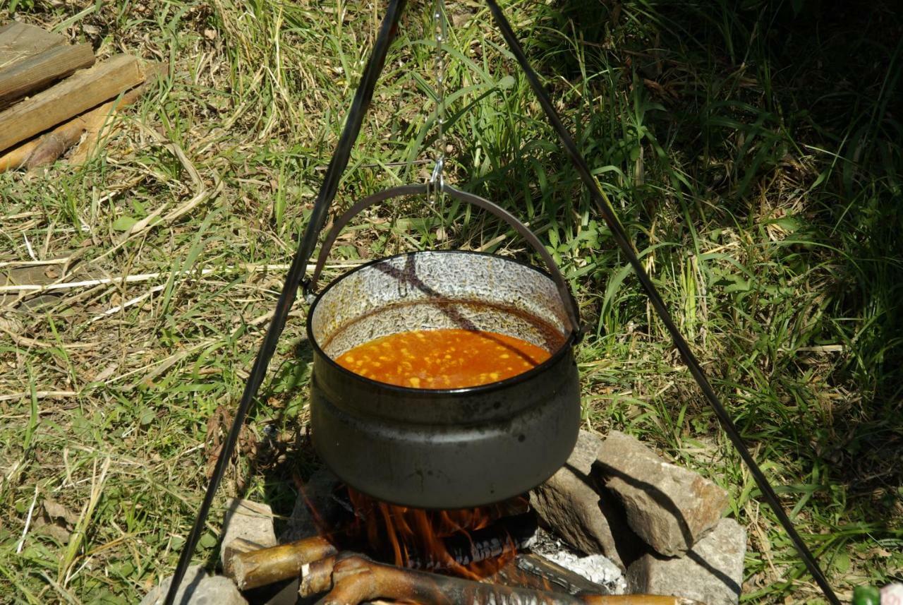 Pensiunea Aquavilla Maliuc Екстер'єр фото